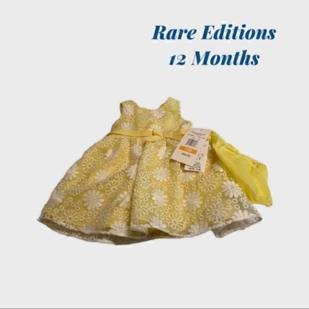 RARE Editions Floral Embroidered Organza Dress
